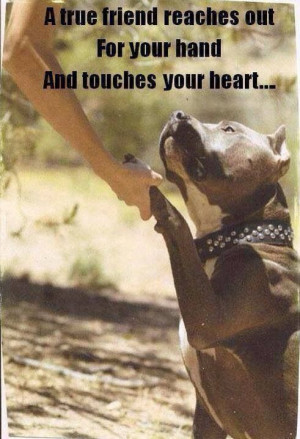 Very true! Got to love dogs!