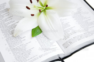 Bible And Lily Flowers Quoteko