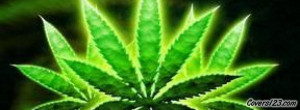 Weed Facebook Cover