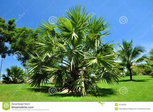 Funny Quotes Contact Us DMCA Notice