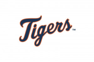 Detroit Tigers Logo Share