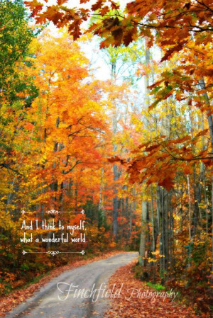 Nature photography rustic autumn forest pathway by finchfieldart, $45 ...