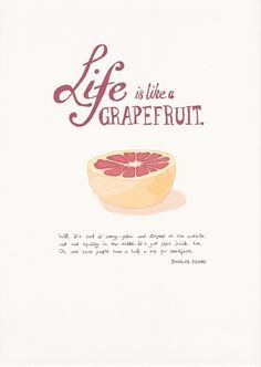 Douglas Adams - Life is like a grapefruit