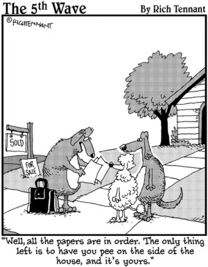 rule against perpetuities for dummies