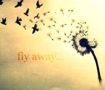 Butterfly Flying Away Quotes Fly