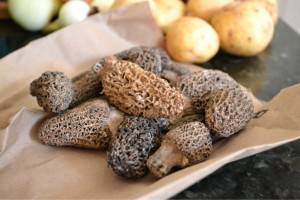 In the same pan, I cooked up morel mushrooms from Mainly Mushrooms LLC ...