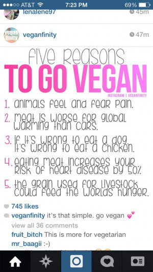 ... Cows, Vegan Life, Growth Hormone, Vegan 101, Go Vegan, Factories Farms