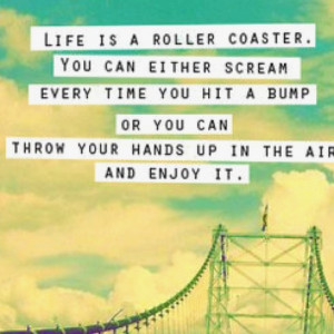 love roller coasters! I have so much fun on them that I am filled ...