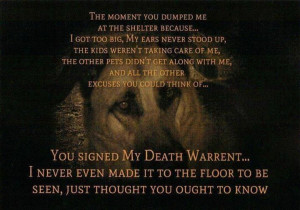 Uploaded to Pinterest