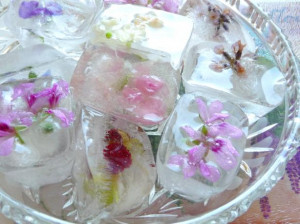Fresh Flower/ Herb Blossom Ice Cubes.....