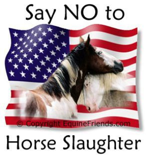 Congress reinstates bill to end horse slaughter
