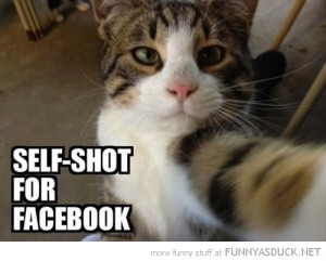 cat lolcat animal self shot facebook funny pics pictures pic picture ...