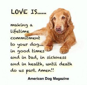 Our commitment to our dogs is for life!