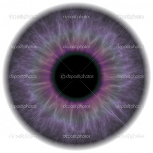 Purple Eye Iris Stock Image picture