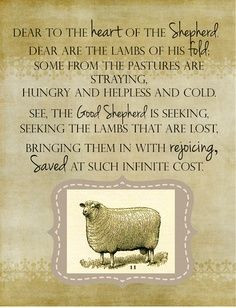 ... shepherd; the good shepherd lays down His life for the sheep,