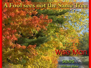 Wise Guy Sayings, Wise Man Quotes, Wiseman Sayings