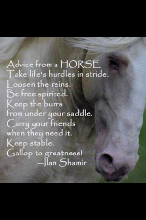 Advice from a HORSE - take life's hurdles in stride. Loosen the reins ...