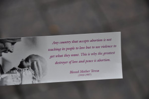 Pro Life Quotes Mother Teresa Mother teresa on abortion. 
