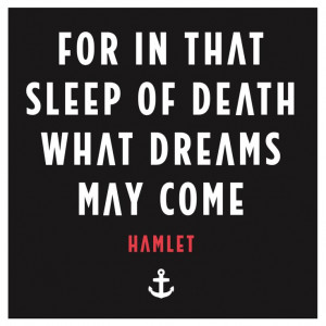 Hamlet What Dreams May Come Quote