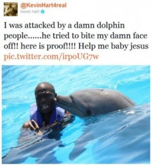 kevinhart #dolphin #funny #swimming