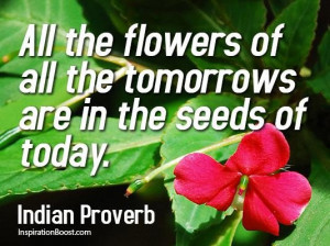 Seeds quotes