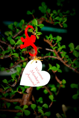 ... Barrel full of Monkeys hanging from a plant. with different 'monkey