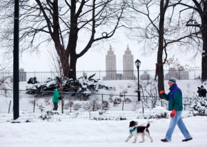 snow monsters 2015 durante la gran nevada en nueva york 27 01 2015