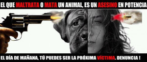 ... animal sino de no tenerlo bien atendido, lo denunciásemos, las cosas