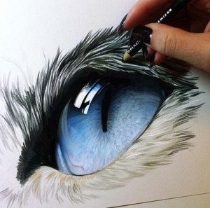 192284-Artistic-Blue-Eye.jpg