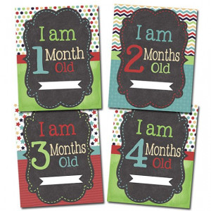 Monthly Baby Signs Photo Prop, Printable PDF File, Baby Month, Boy or ...