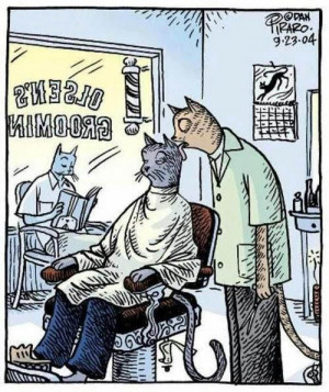 Very Funny Cat Barber Grooming Licking Cartoon Joke Picture