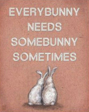 Every bunny needs some bunny sometimes.