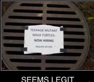 teenage mutant ninja turtles hiring