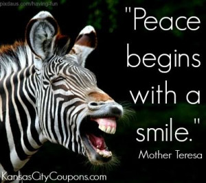 quotes #quote #kansascity #kansascitycoupons #smile #zebra #funny ...