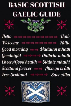 basic phrases in Scots Gaelic-- wait ... Have I already pinned this? I ...