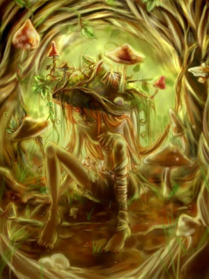 Magic Mushroom Land ♥ Magic Mushrooms, Mushrooms Land