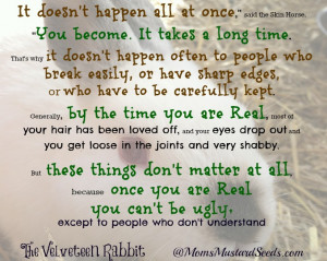 ... again, she reminded me of a beautiful quote from the Velveteen Rabbit