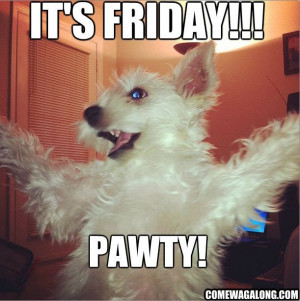 187559-Its-Friday-Pawty-.jpg