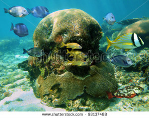 Funny Quotes Contact Us DMCA Notice