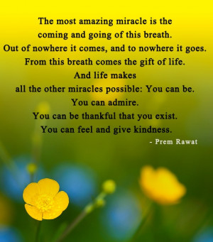The Most Amazing Miracle
