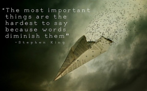... important things are the hardest to say because words diminish them