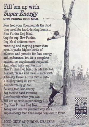 Coon Dogs Treeing Clipart Coon hunting clip art