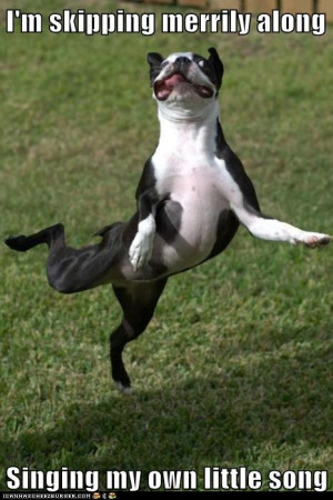 Dog Dance in Pictures-Images