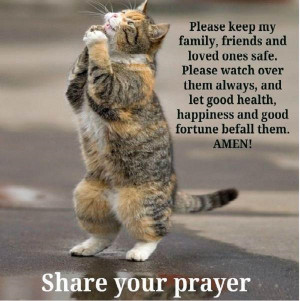 Funny Cat Prayersaying Quotes Image