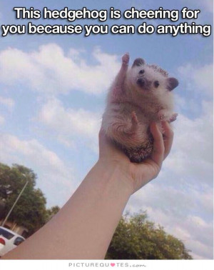 ... Quotes Cheer Quotes Animal Quotes You Can Do It Quotes Cheering Quotes