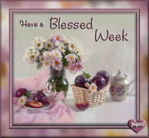 Already have an account? Log in now