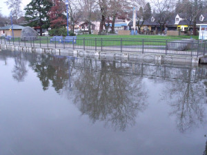 Jim Gaffigan Quotes From King Baby