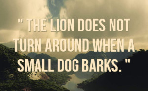 The lion does not turn around when a small dog barks. 