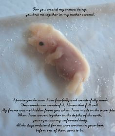 friendship miscarriage | Miscarriage Quotes And Poems More