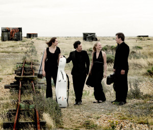 Navarra String Quartet 2015 | Site by Redwire